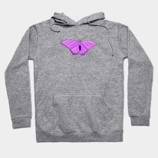 Purple Butterfly Hoodie